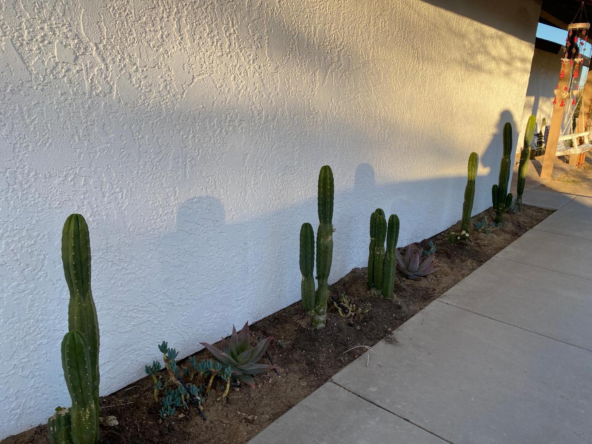 Electroliquid'S Casa Pueblo Joshua Tree Exterior foto